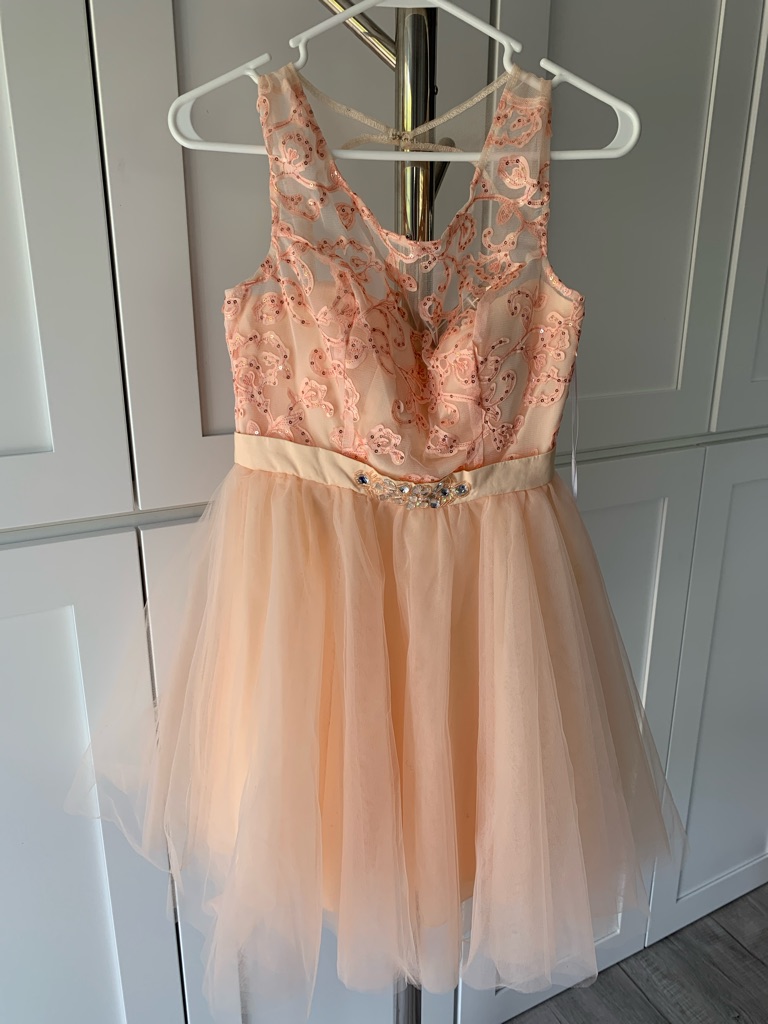 Nwot Nox Anabel Peach Tulle Party Dress With Embroidered Bodice, Size S.
